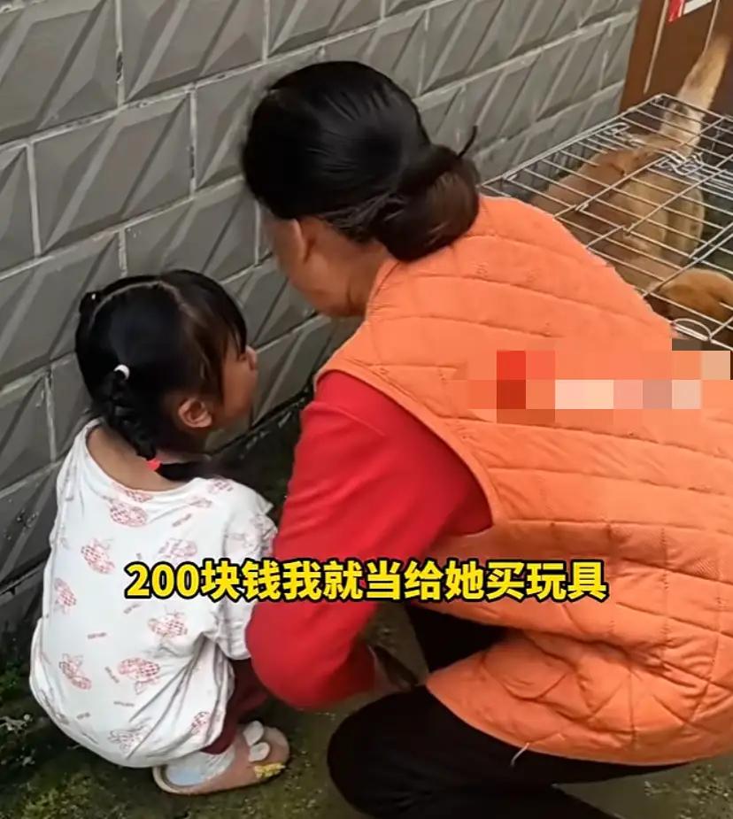 小时候在农村，无论家里养的野鸭狗猪等一切家禽和牲畜，小孩子都舍不得买更舍不得吃。