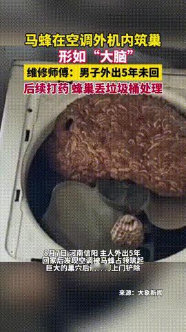 “细思极恐！”河南信阳，一男子在外5年，期间从未回过家，可到家后却发现空调出问题