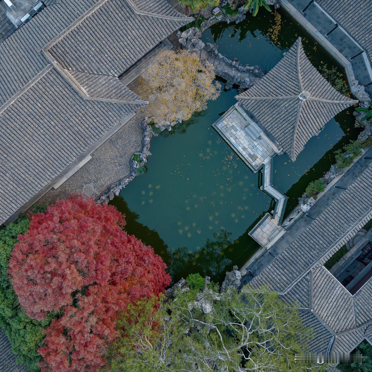 扬州何园换上了秋霜馈赠的斑斓华裳。“晚清第一园”的黛瓦粉墙间，片片枝叶被霜华点染