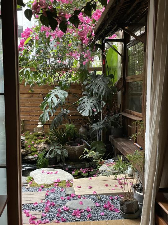 忽如一夜冬风来