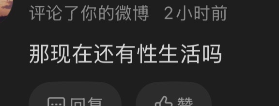 以后这种评论都会被删除哈，我倒是也不觉得有啥恶意，就是觉得很无聊，很无语，说一万