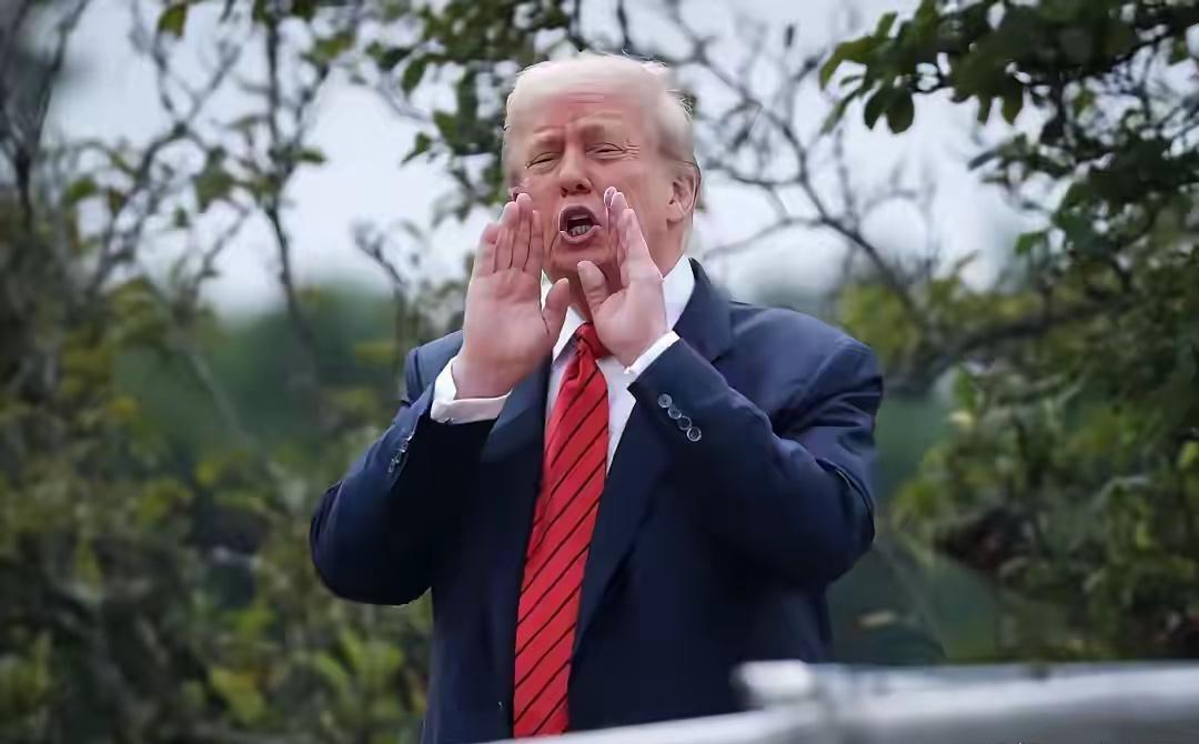 打不趴，又封不了，特朗普开始异想天开。
深夜睡不着的特朗普又发挥“推特治国”了。