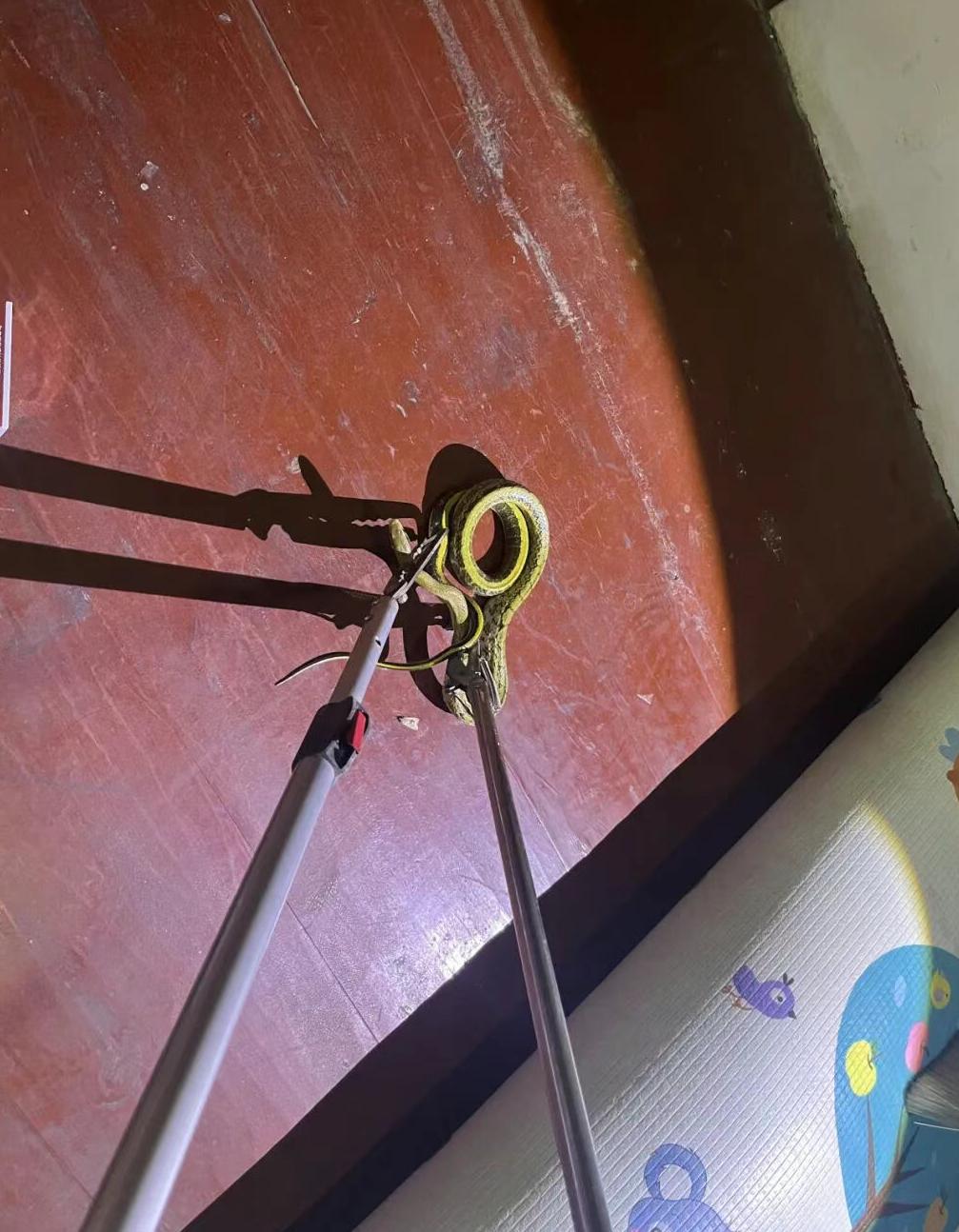 台州路桥蓬街镇一户人家，5月7号晚上可吓得不轻。屋主都快睡了，迷迷糊糊往墙角柜子