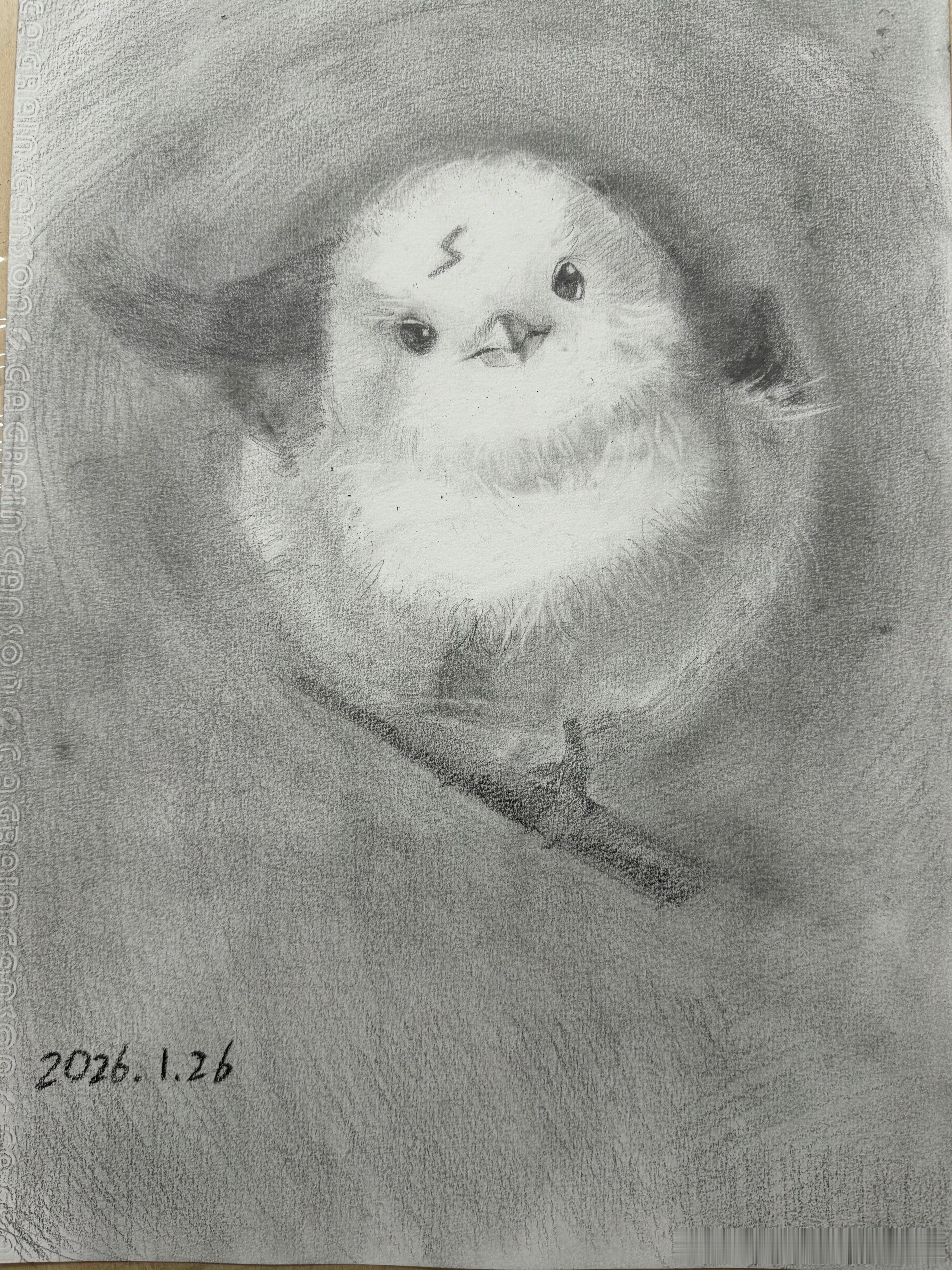 坏了我们全能贺老师真没短板了啥时候给富贵来一张！贺峻霖画的素描小鸟贺峻霖画的闪电