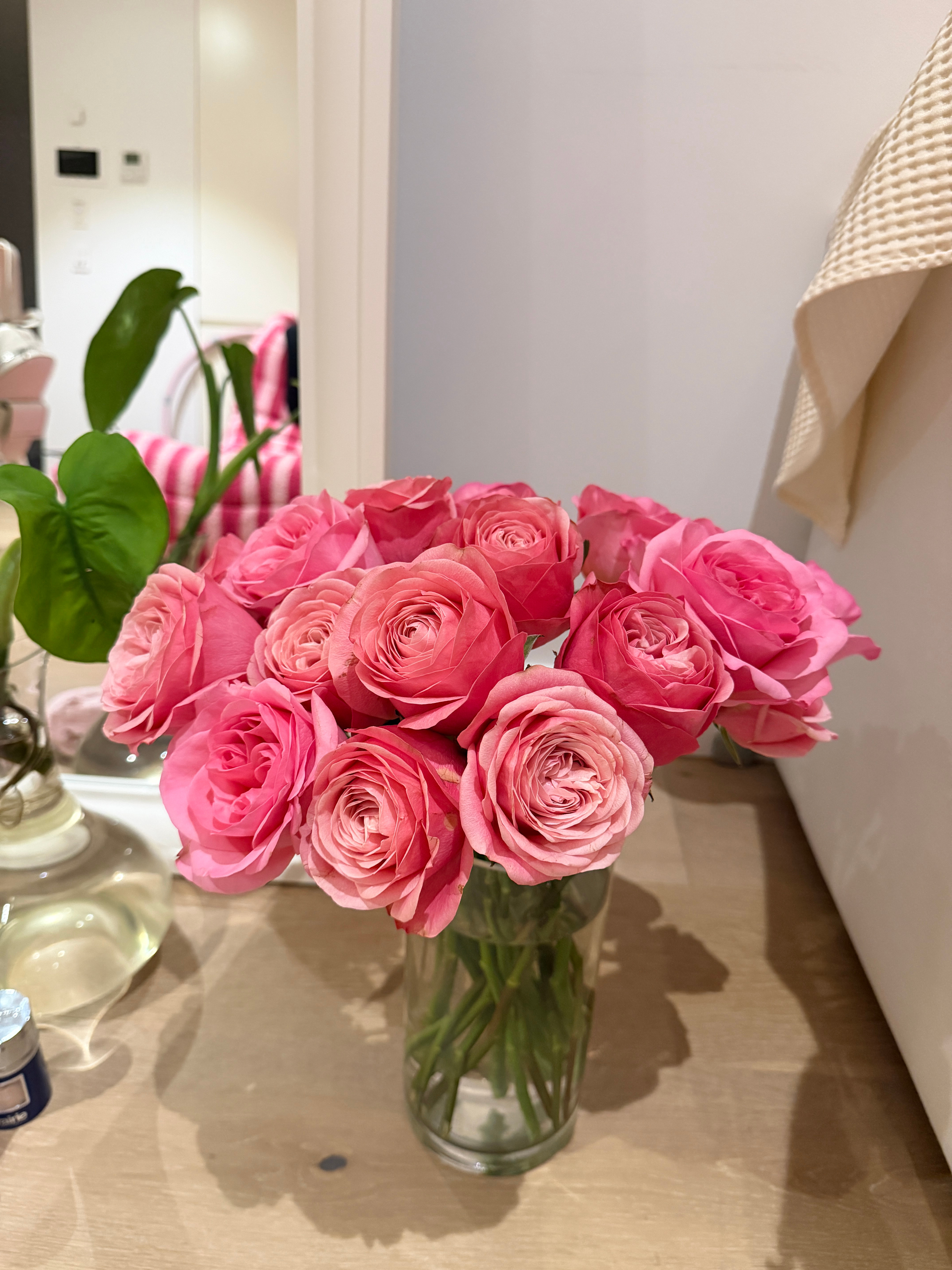 孤独的小生命们 澳大利亚·悉尼