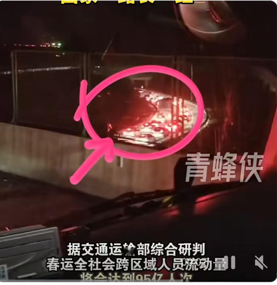 高速免费第一夜，回家路成了“红海”：这一路的酸甜苦辣，只有归人懂
2024年的春