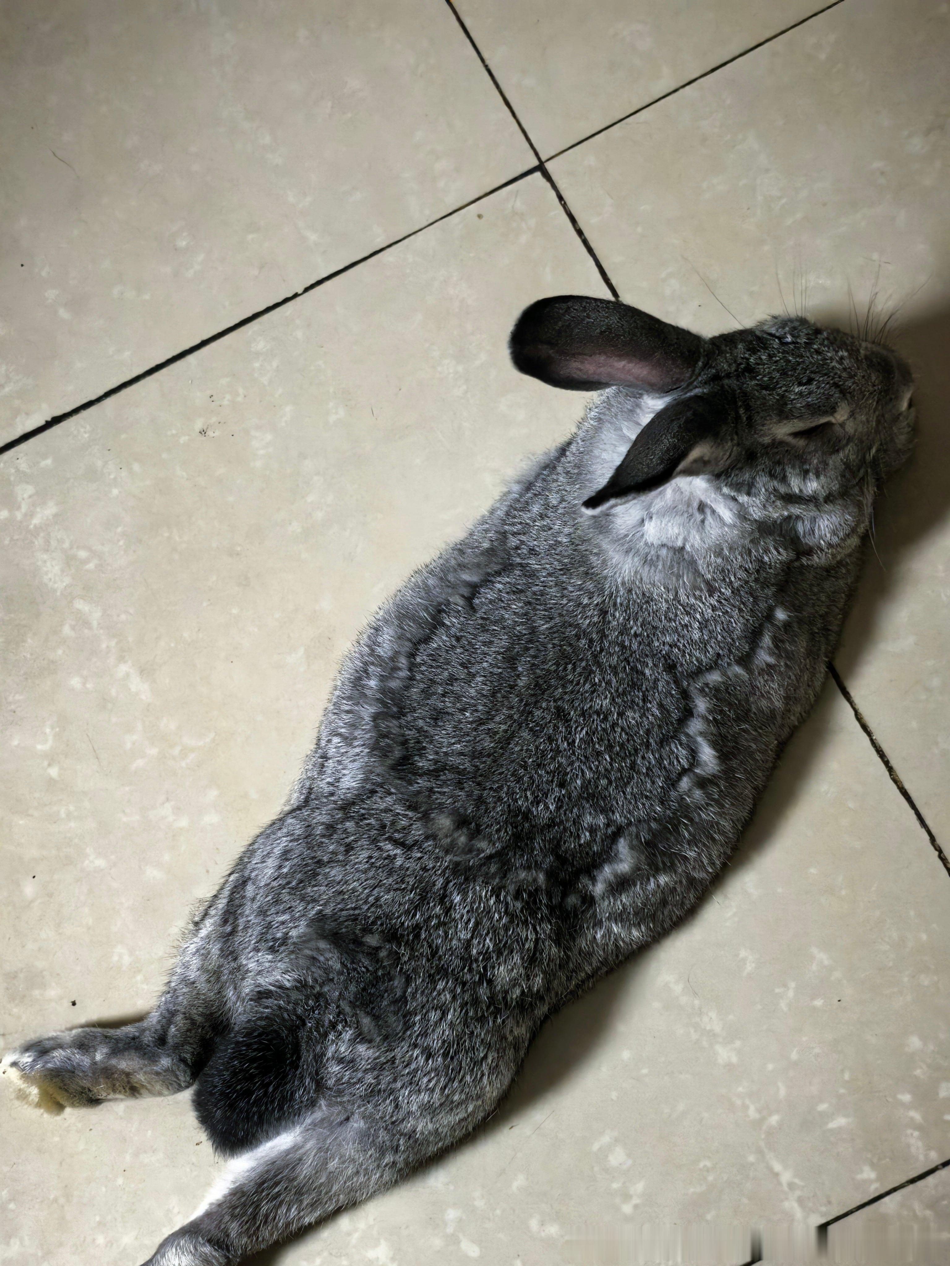 13811🐇【一辆】卡车停在这里啥意思 