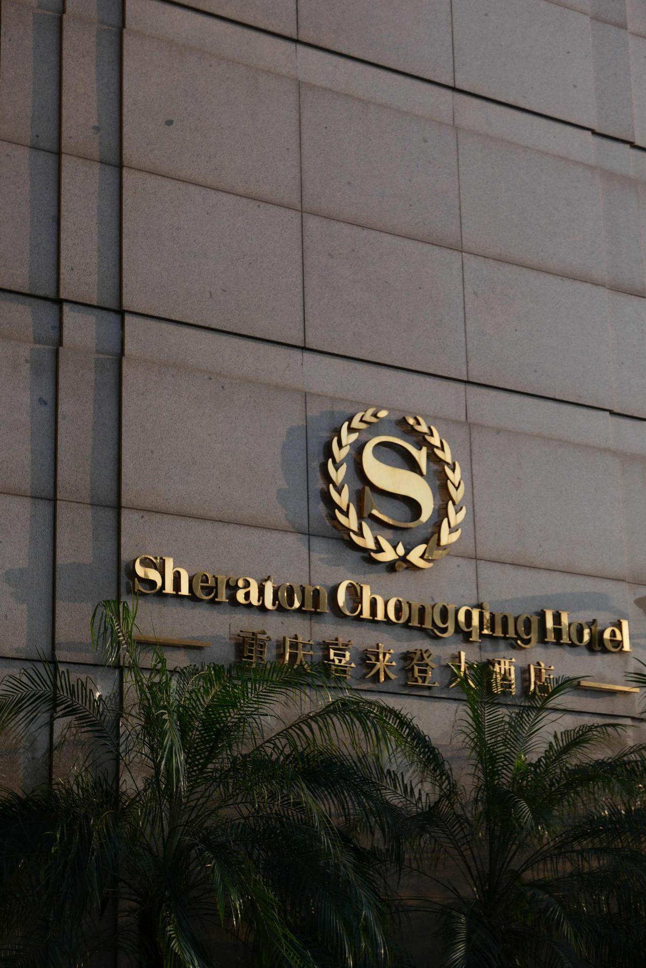 🍧重庆喜来登大酒店·重庆湾壹号春宴🍱

🚘位于南滨路，地理位置优越，临近长