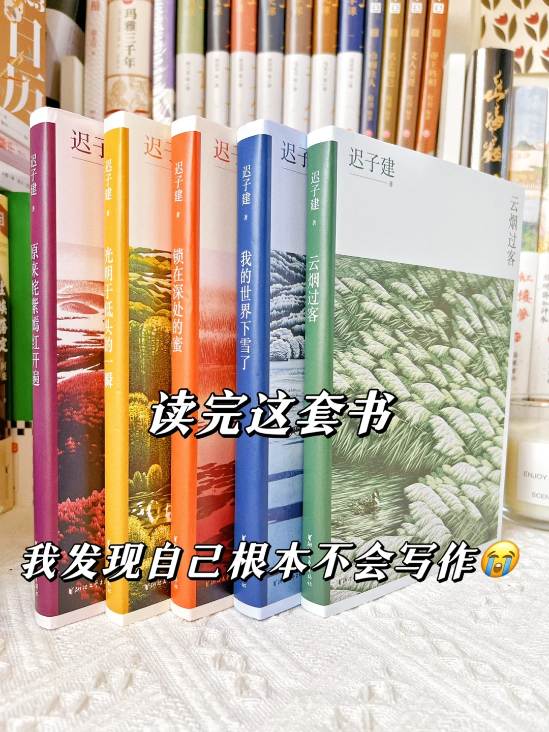 文笔绝了🔥你可以永远相信迟子建‼️