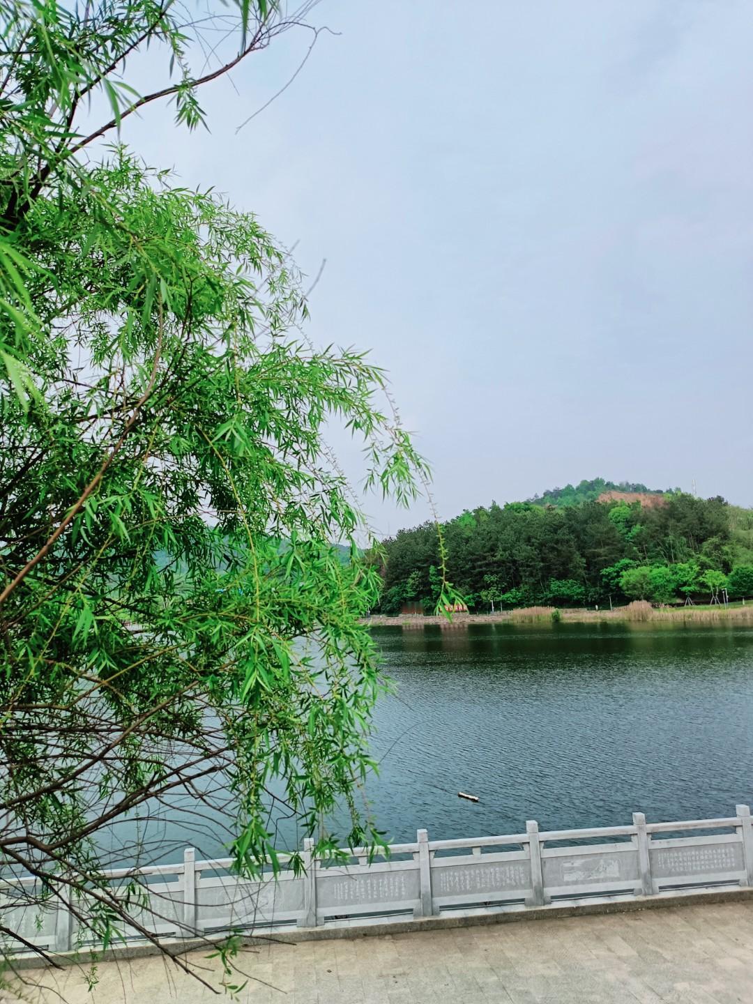 自律于心，向阳而行
 
真正的自律，从不是刻板的自我束缚，也不是刻意的勉强坚持，