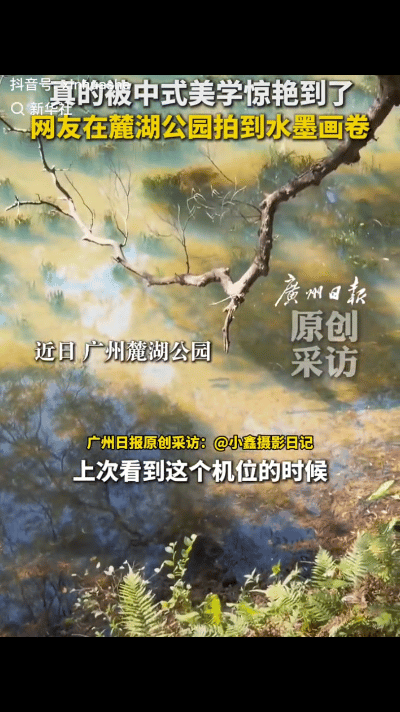 “这景色绝了！”近日，广州麓湖公园，一位摄影博主，原本只是想去麓湖公园透透气，顺