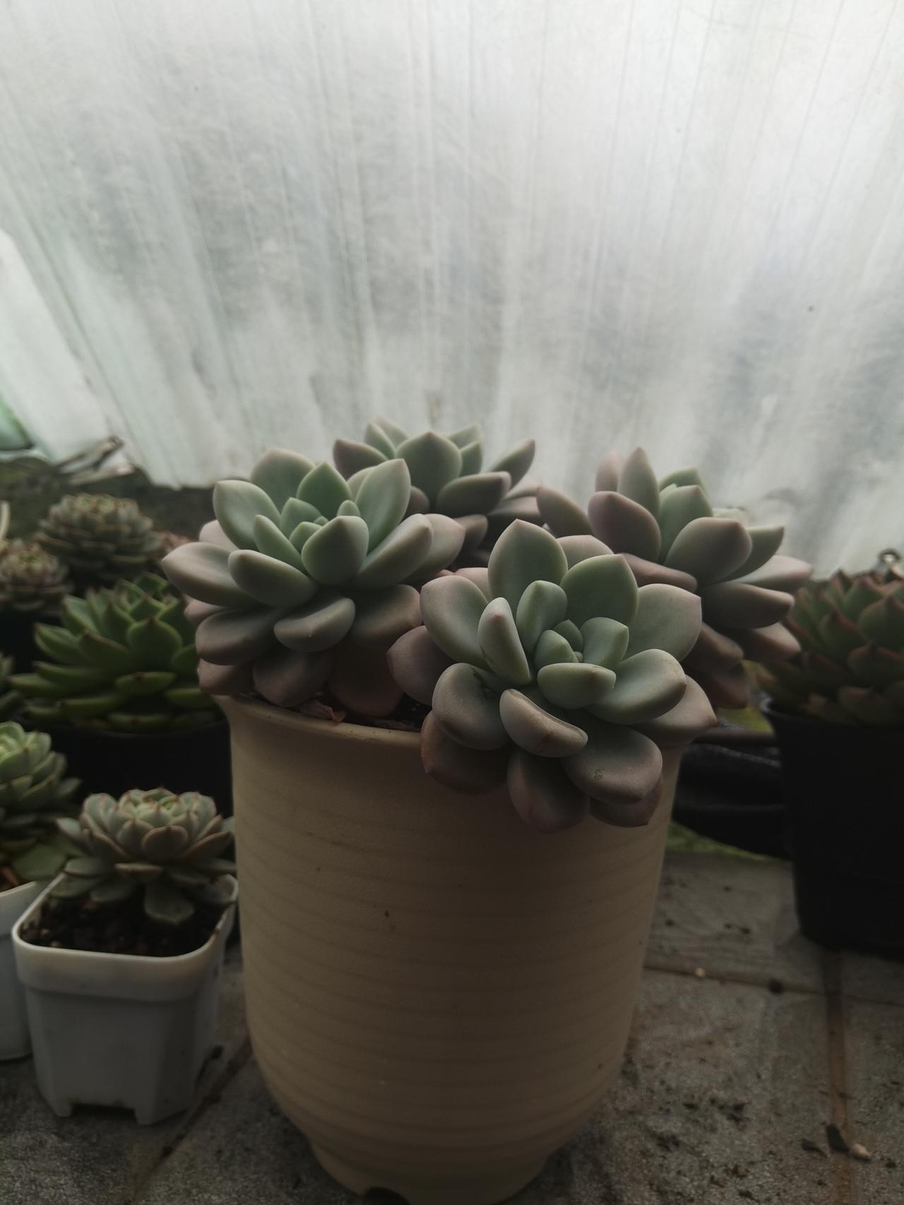 这才是成功的高手，选好股票低买，天王老子都怕你，何况游资，机构，量化。他们都给你