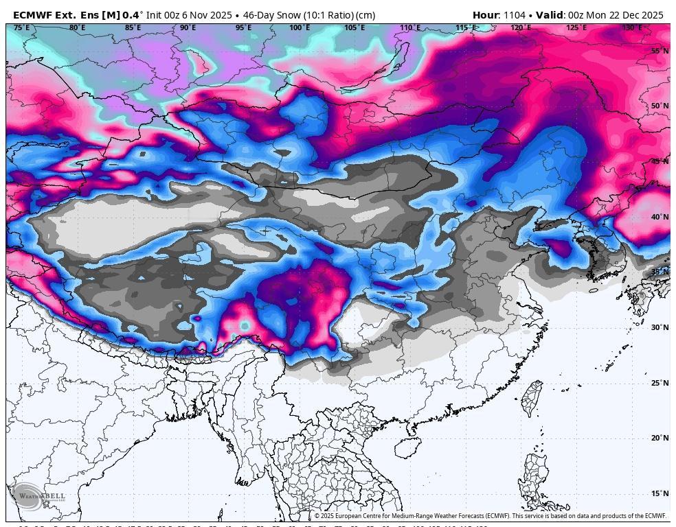 或许1月就好起来了，念想要有的