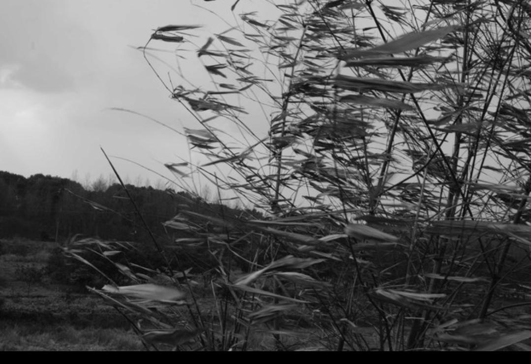现在，凡是“看病”的行业 ，都很火爆发财！
    像给家禽牲畜看病的兽医，给人