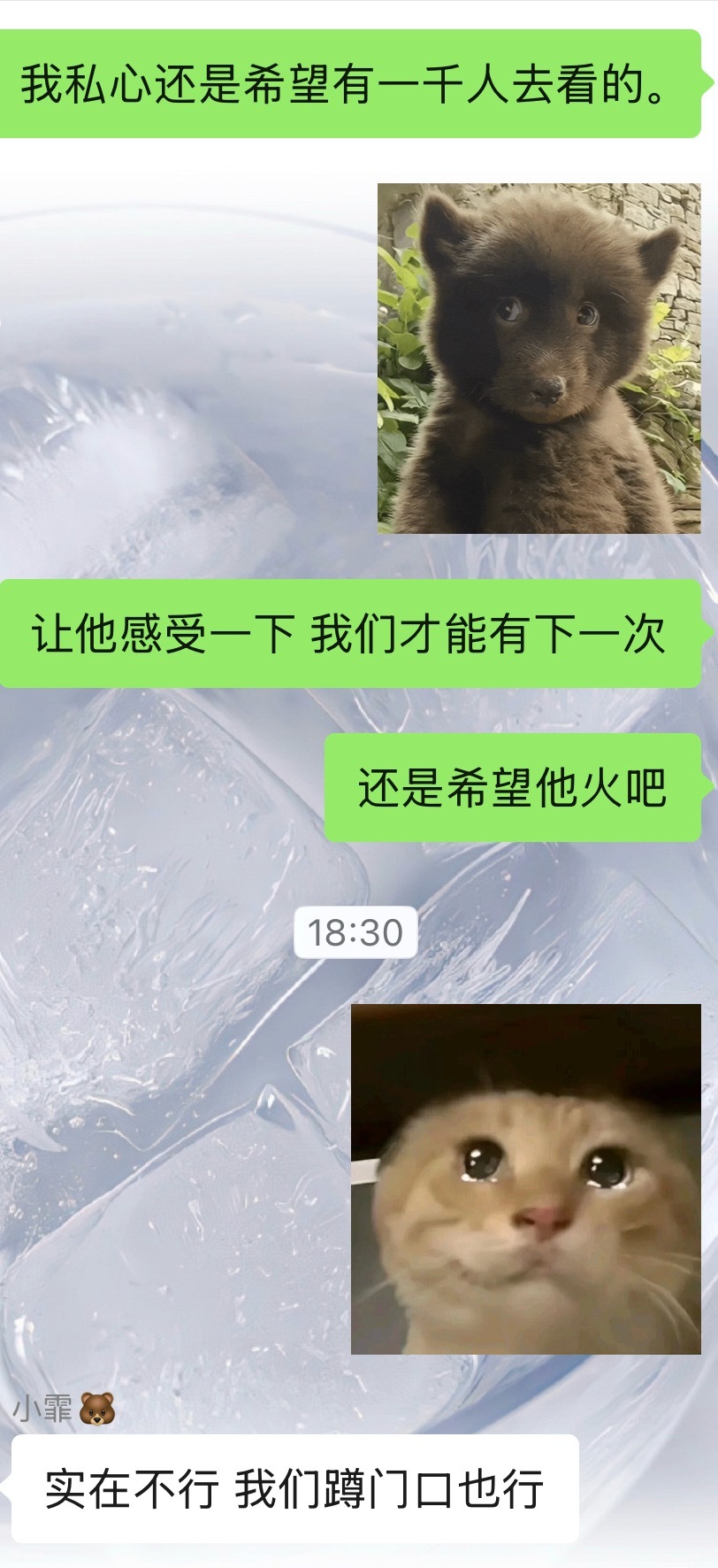 理性和感性疯狂打架中