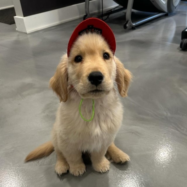 周末一起去钓鱼吧 