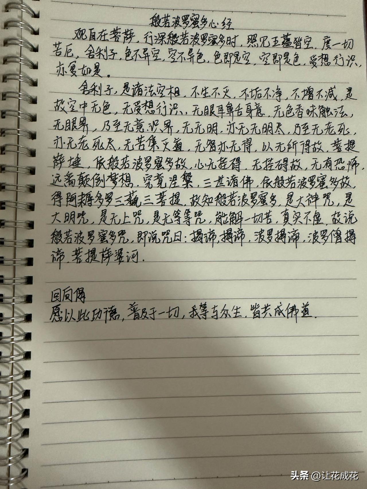 抄书打卡第21天