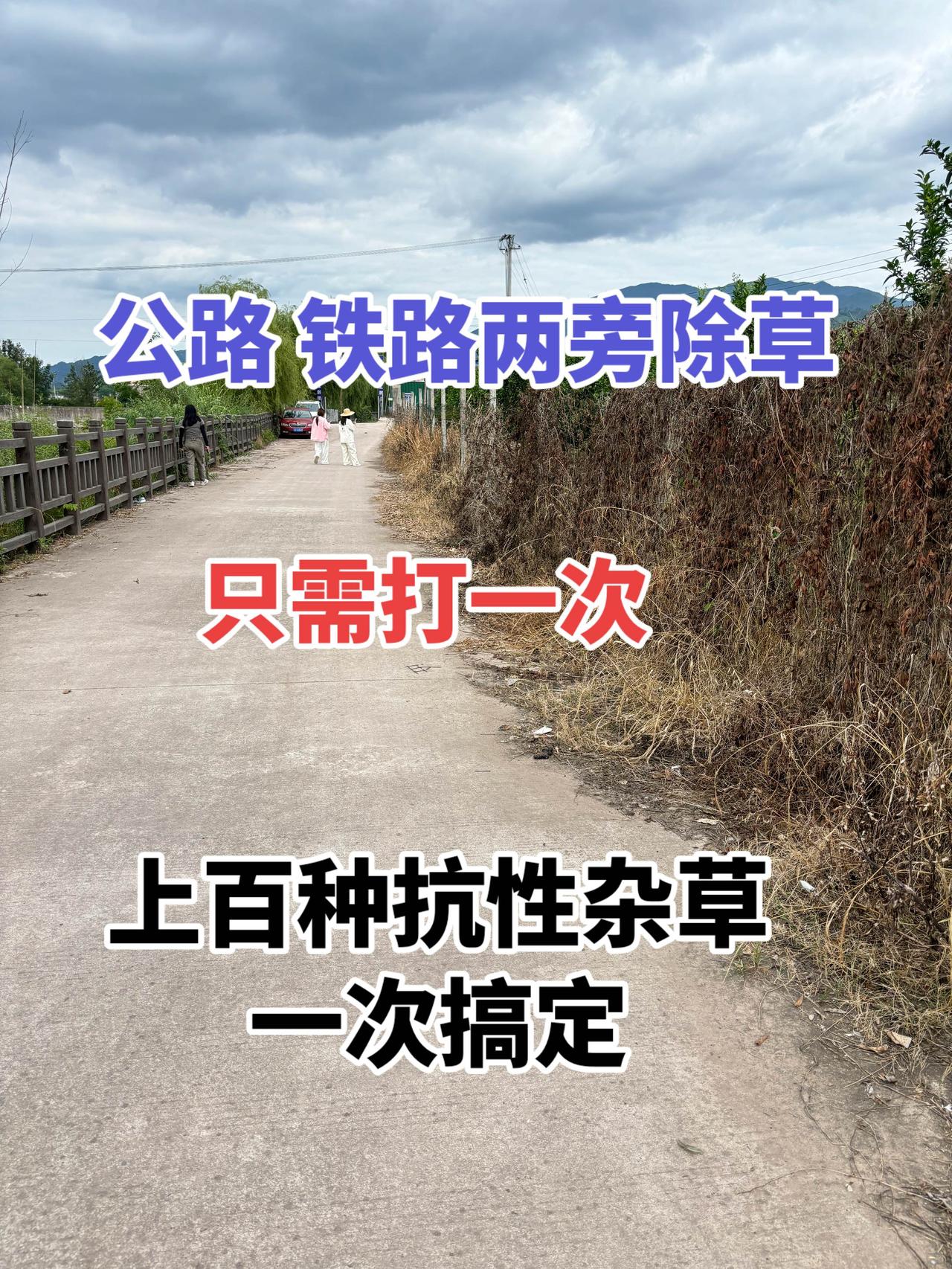 专打各种抗性杂草，一打一个准，长效管控甲嘧磺隆除草剂