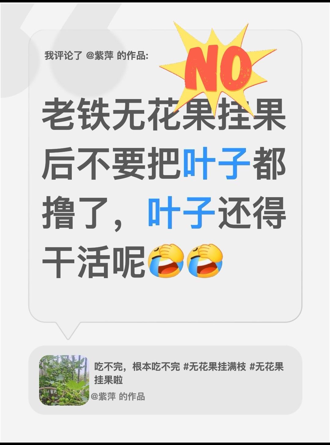 无花果挂果后不要把叶子都剪了！我评论了@紫萍 的作品：
老铁无花果挂果后不要把叶