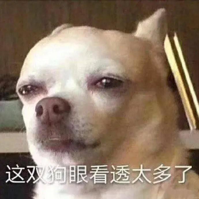 不点开都知道，这是粉丝的吹🐮热搜 ​​​
