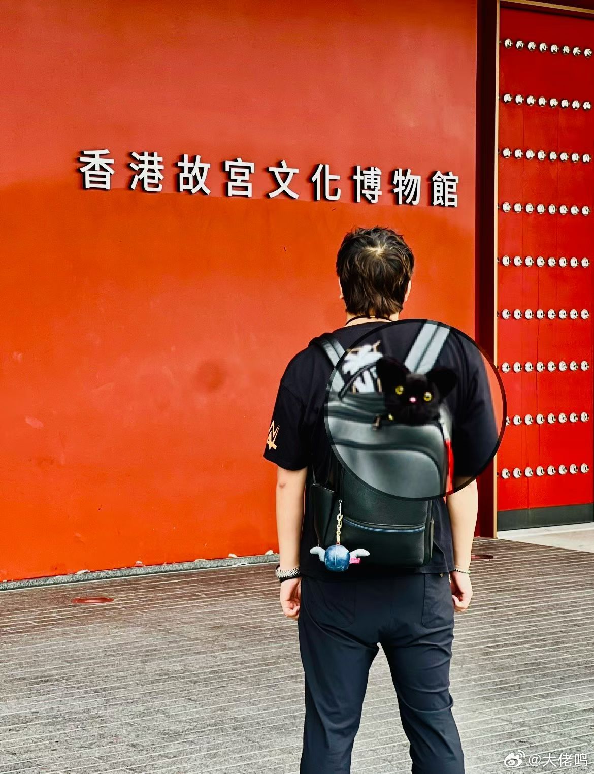 一张图证明我来过这里昨天打卡了古埃及文明大展，收获可爱小猫一只鸣聊体育 香港