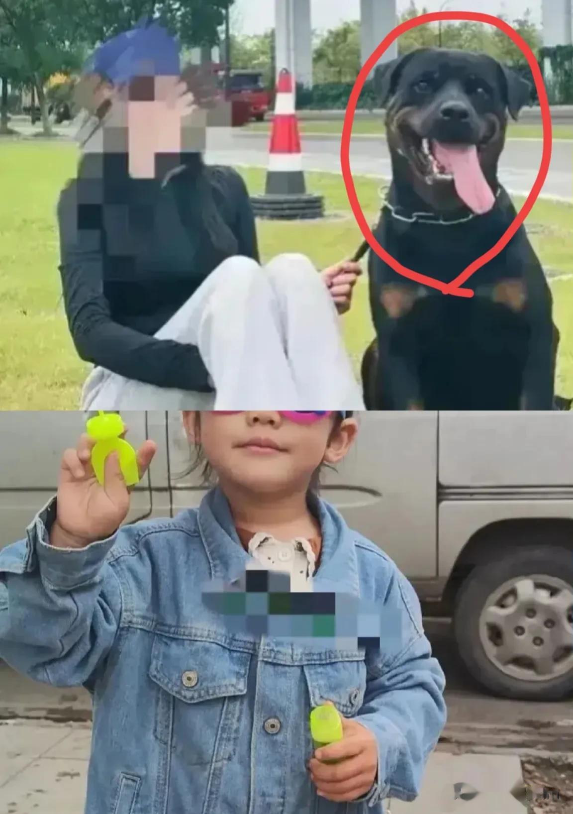 不幸中的万幸，这也算是一个让人欣慰的好消息！成都被狗咬女童的肾保住了。

看那孩