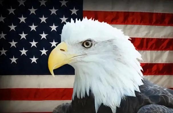 美媒：美国再次成为了唯一超级大国，中国本有机会，但如今输了！

最近《华尔街日报