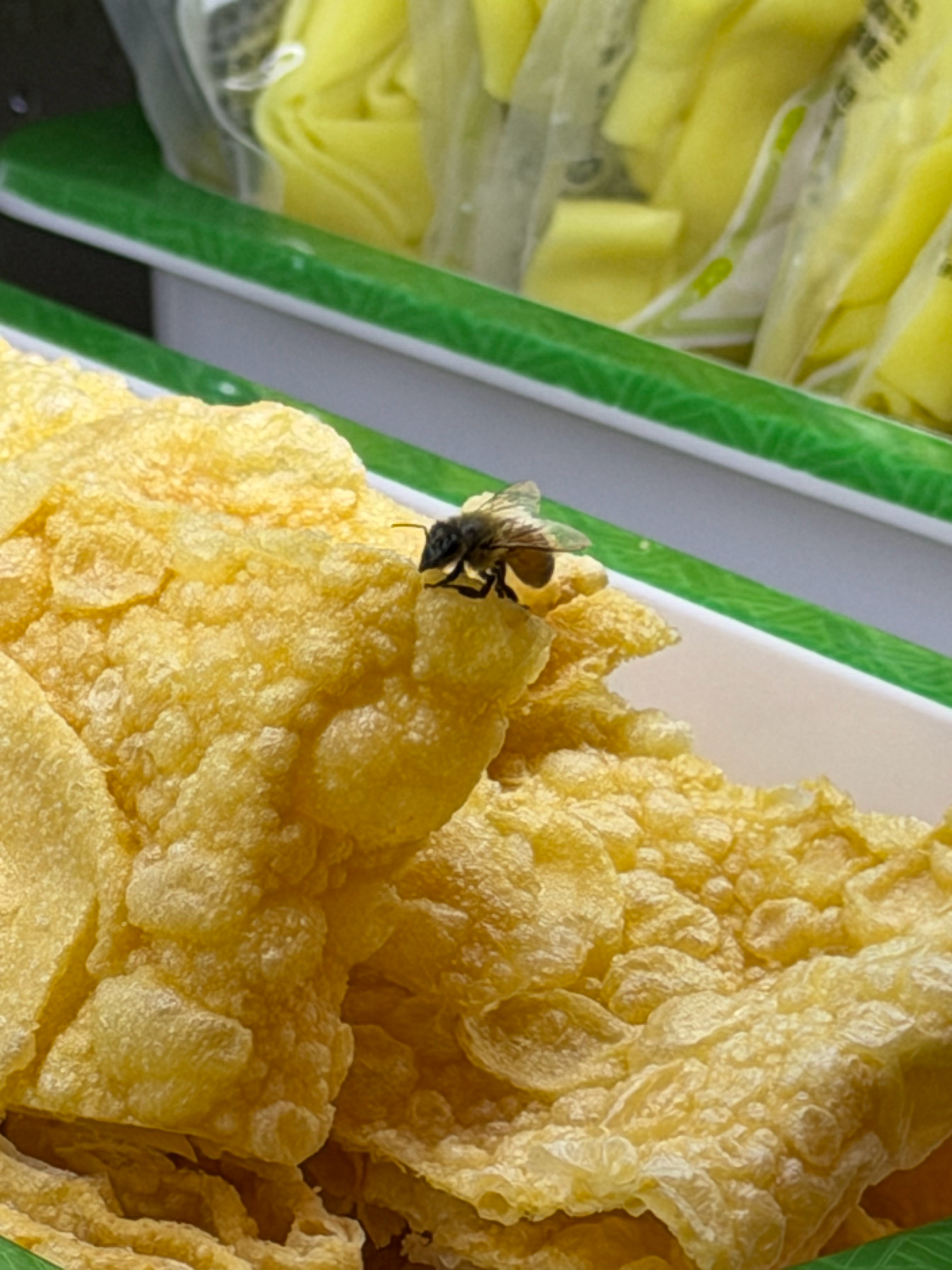 出门在外，还要跟蜜蜂抢吃的不知道我夹的菜，它尝了没 合肥