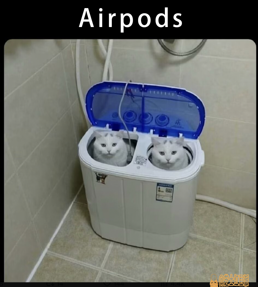 分享一副Airpods猫#meme# ​​​