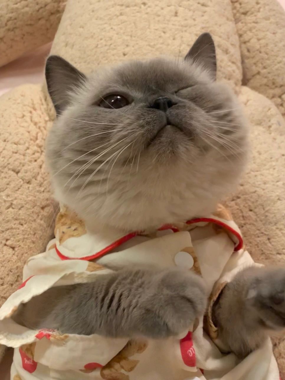 宝宝是小熊猫🐻