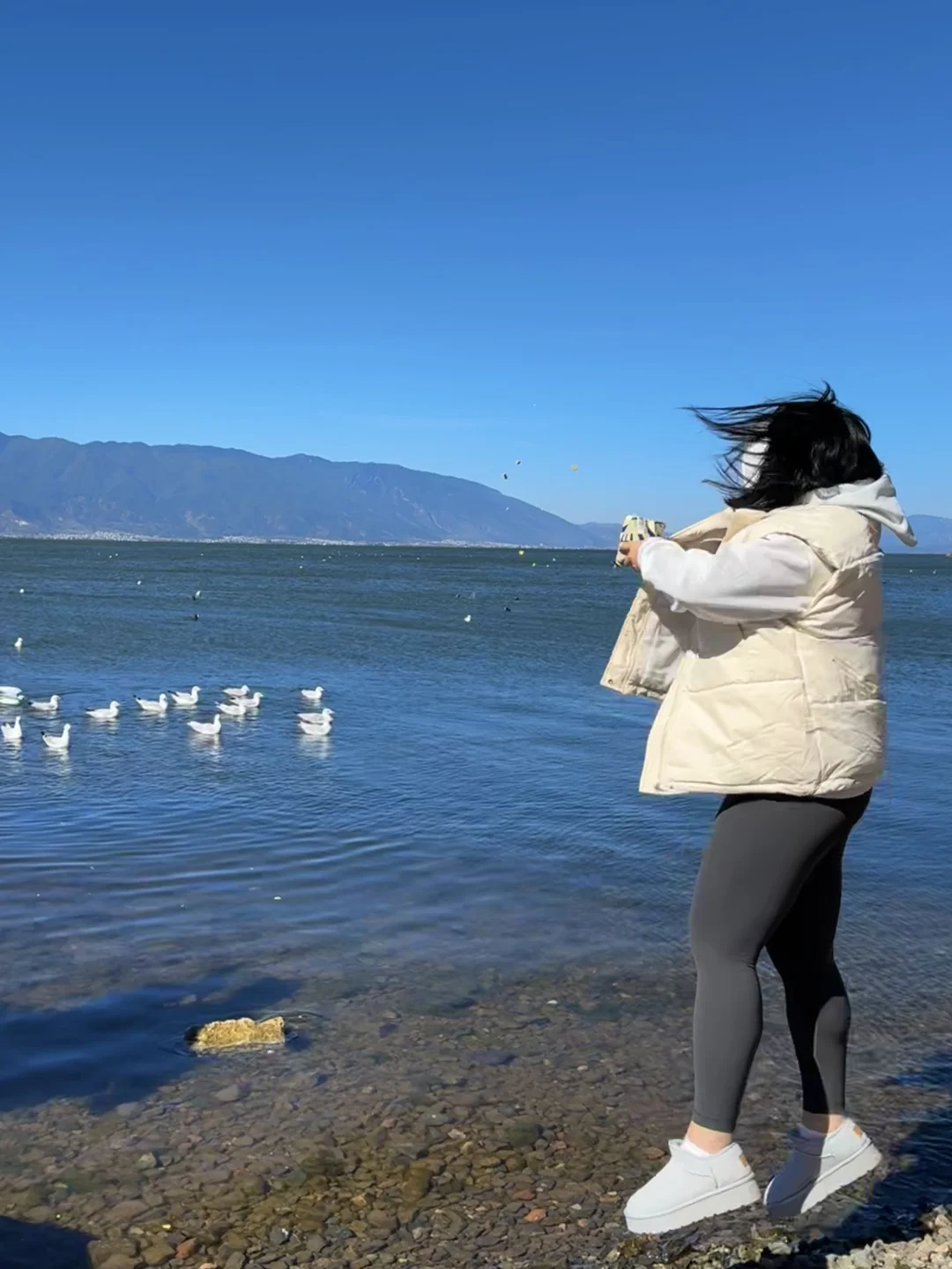 太开心了！海鸥没飞我飞了🕊️