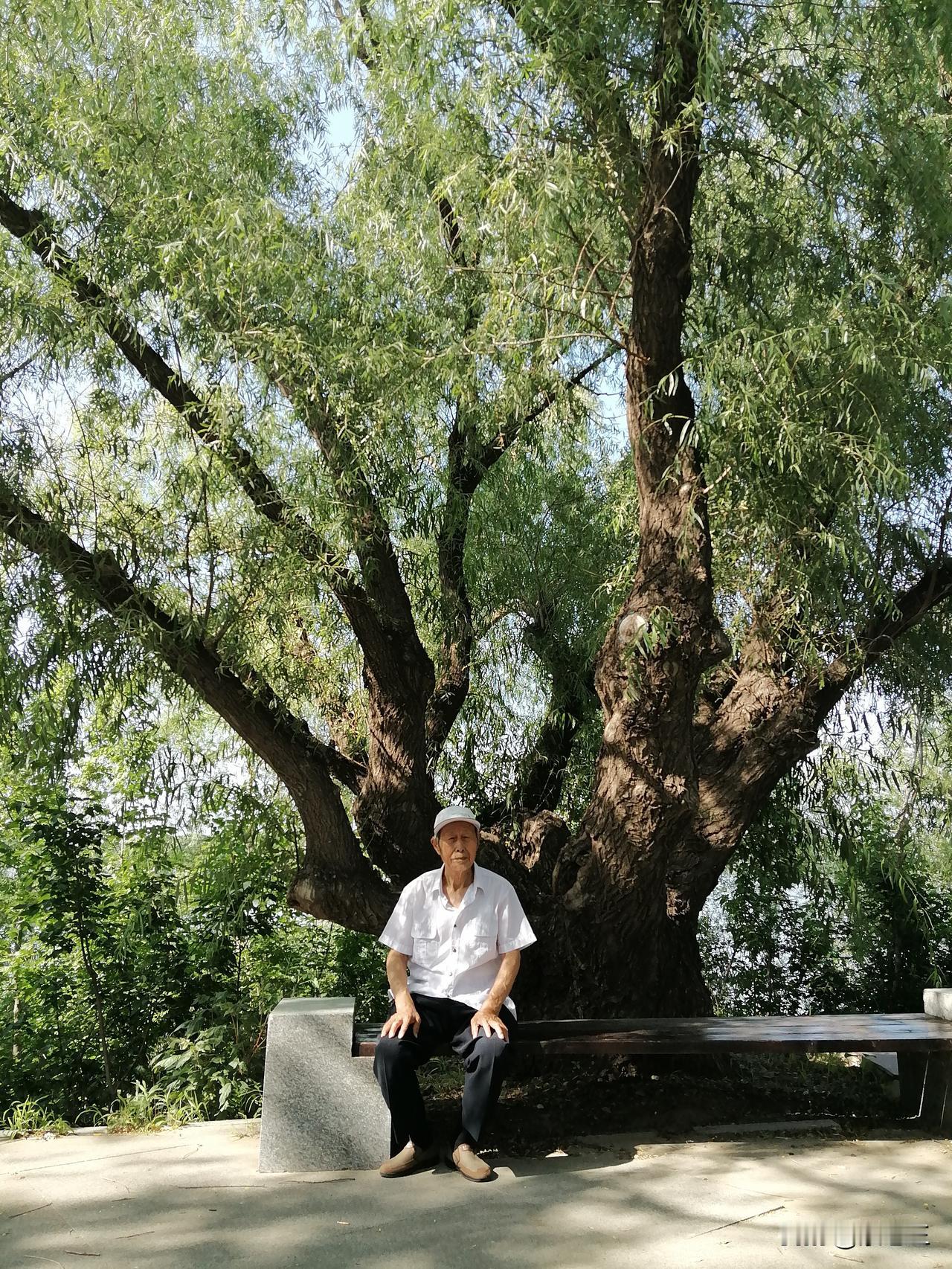 今天回老家，看望父母。我没带一箱酒，只带了两瓶酒，结果出乎我的意料。

昨天给老