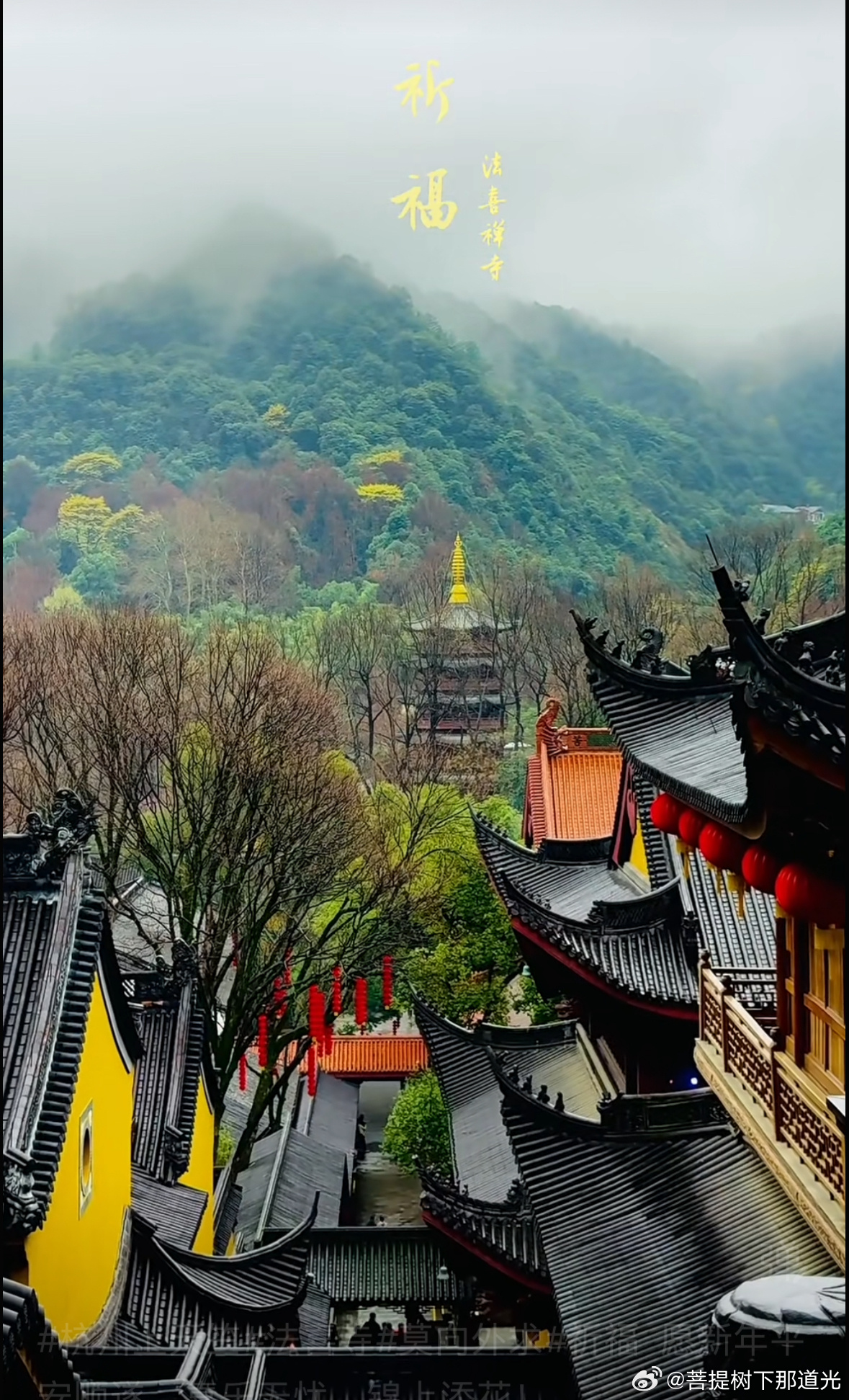 明天六点姐让我去这座千年寺庙祈福，位于灵隐寺附近的上天竺。我给大家祈福🙏 
