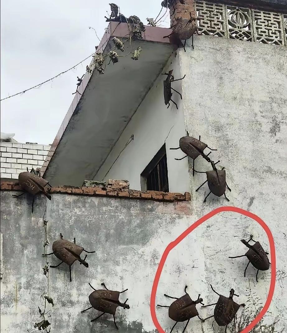 真的要被这户人家给笑死了，
路过隔壁村一户人家的时候，
一开始我还以为是巨大的臭