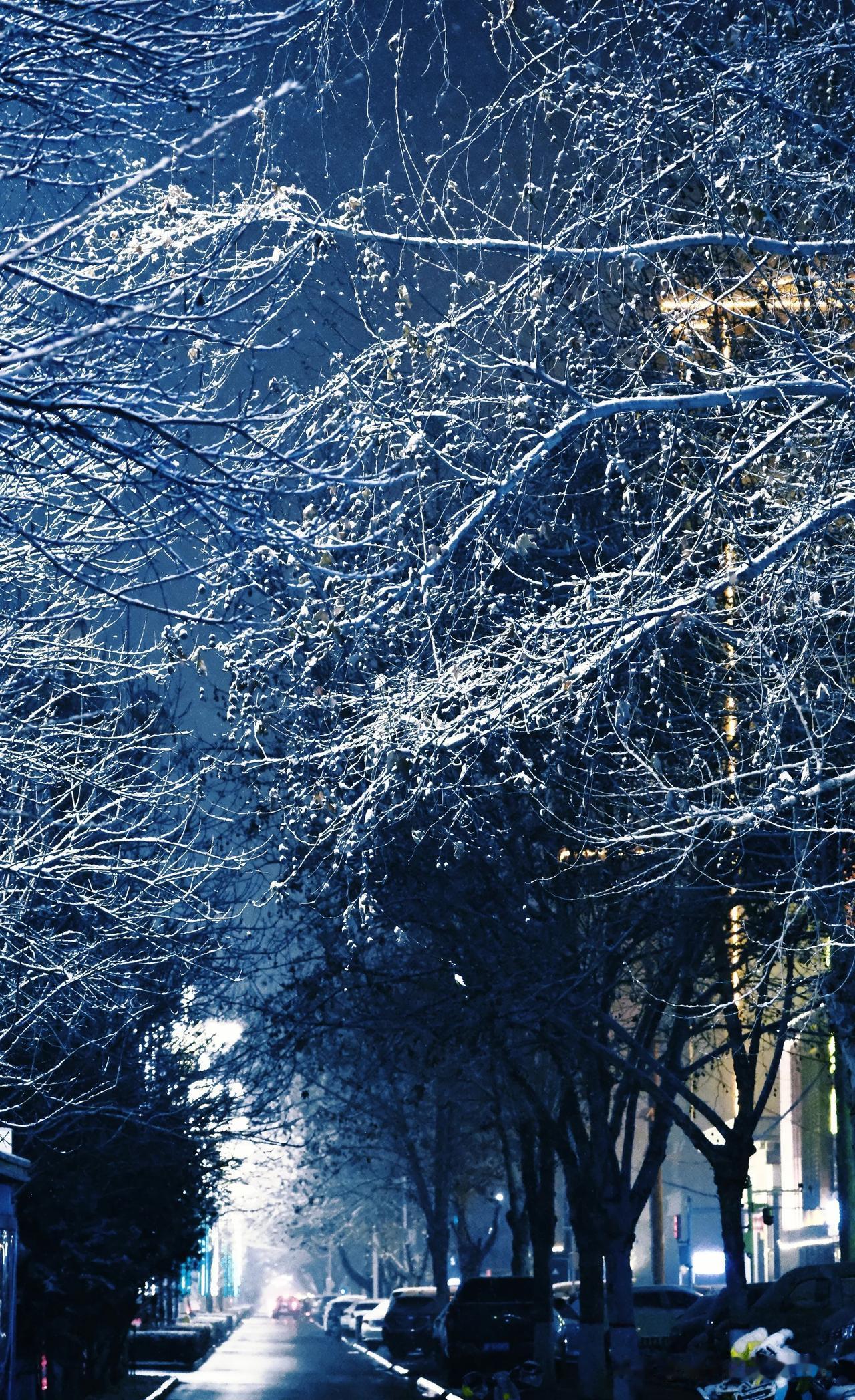 2025石家庄的雪，今夜很美。

河北夜里雪