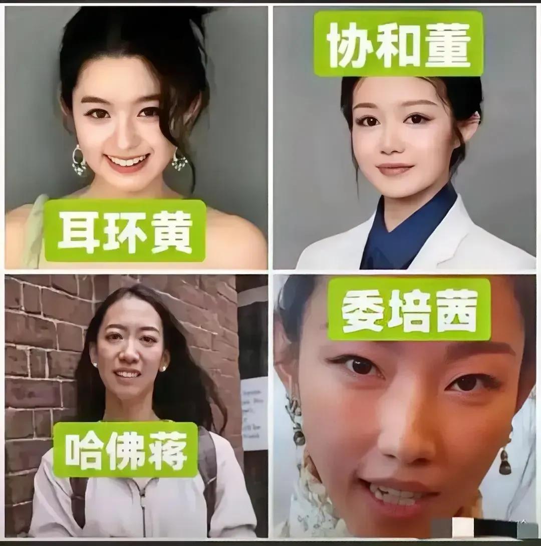 新版四大美人，西施貂蝉杨贵妃，美女不止是颜值，还要有各种超强的能力，权谋背景的支