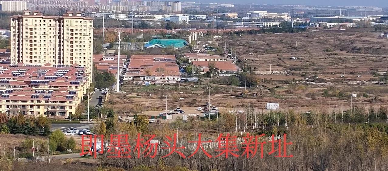 即墨区龙泉街道杨头大集定于2024年12月27日整体搬迁至盟旺路天一仁和郡东侧新