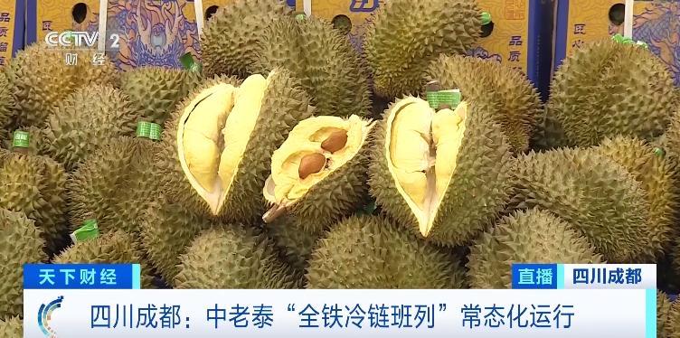 中老泰全铁冷链班列已实现常态化开行，东南亚榴莲直达成都仅需约5天，货损大幅减少。