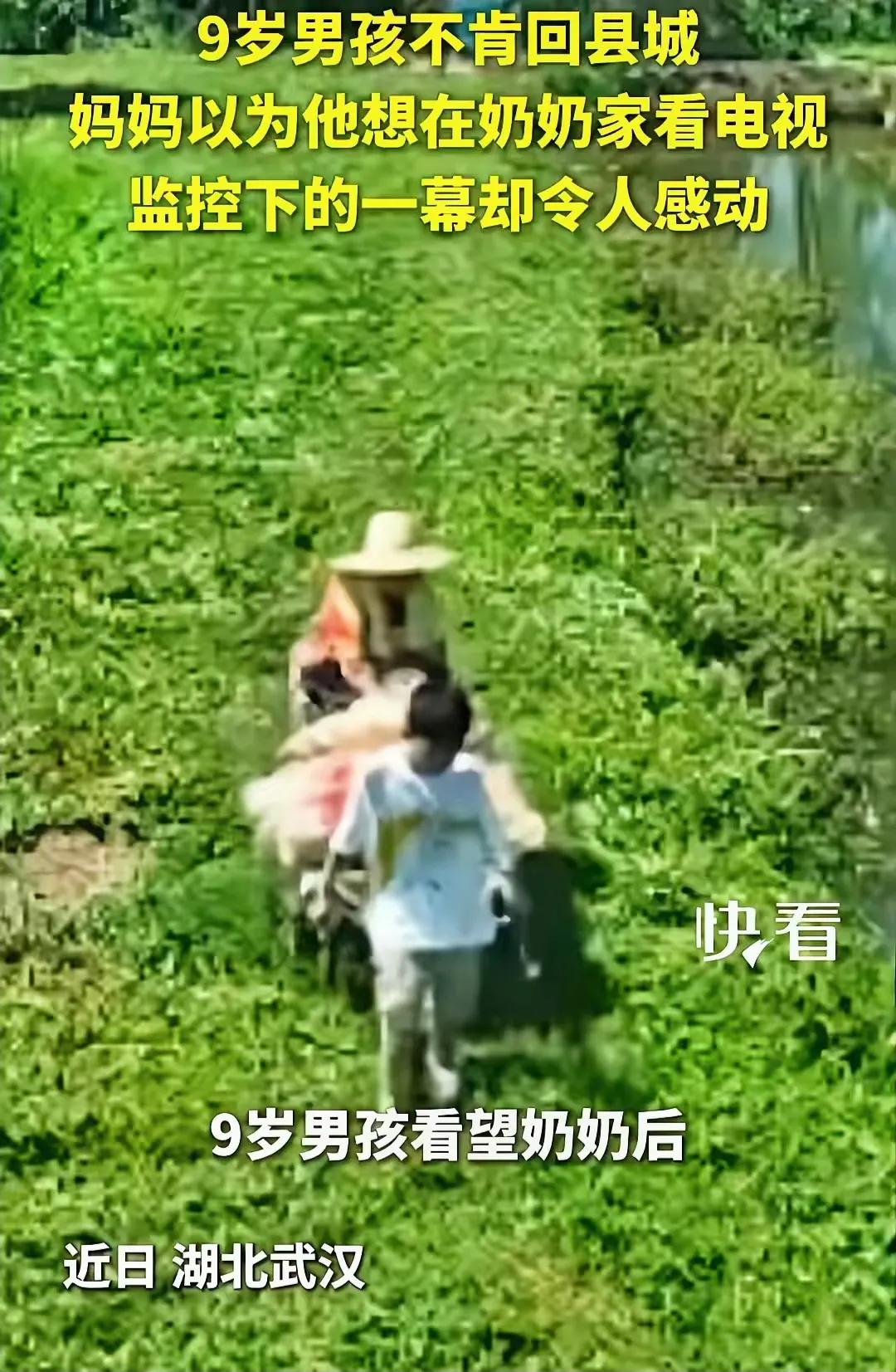 近日！湖北武汉，一位母亲带着9岁儿子到乡下看望奶奶，可是在返程时，男孩说什么也不