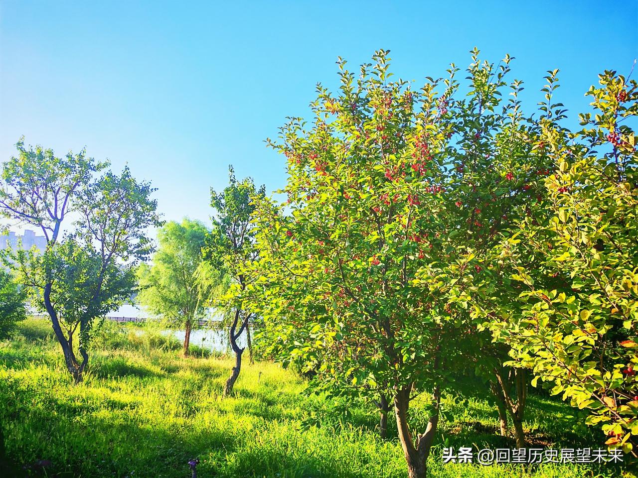 夏日随手拍分享