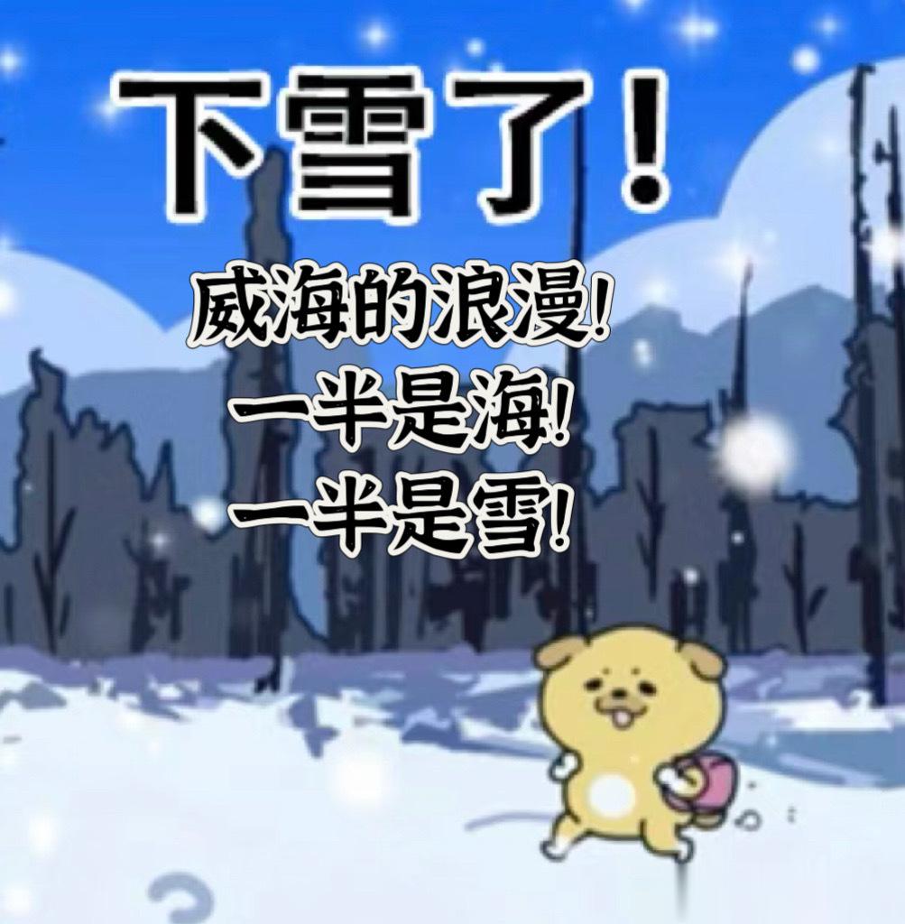 此刻我必须要向全宇宙宣布，下雪了的威海就是坠吊的！雪后威海氛围感直接拉满，洁白一