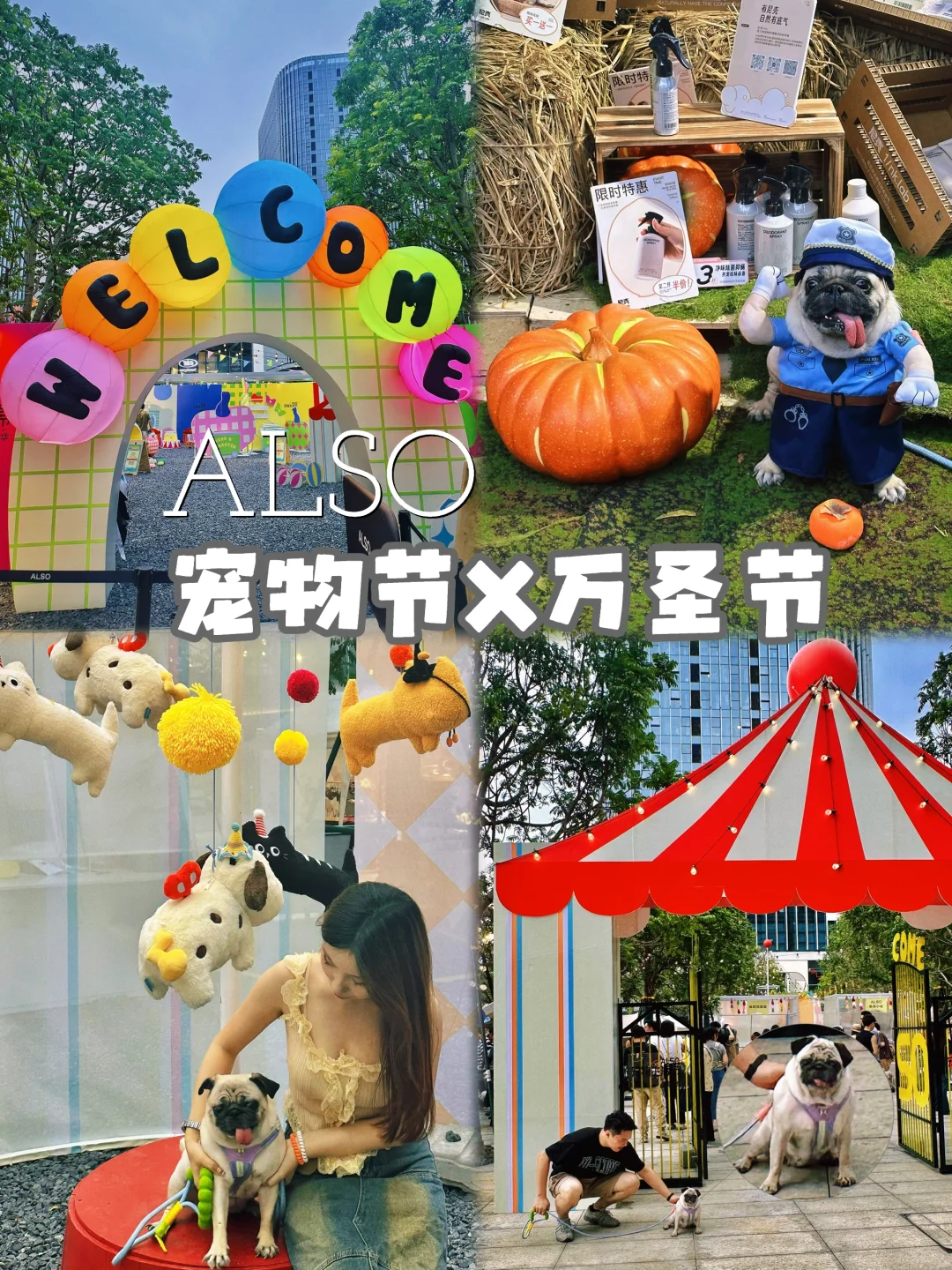 ALSO | 宠物节🎡小狗狗们万圣趴