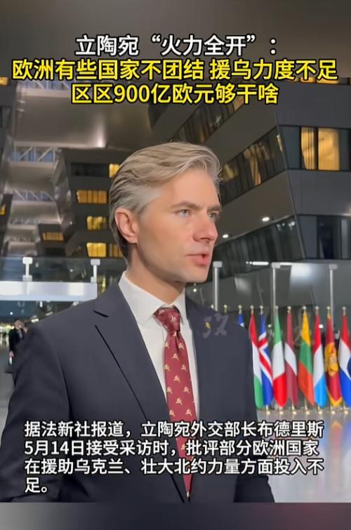 欧洲援乌这摊浑水，终于有人敢站出来说大实话了，立陶宛外长直接对着镜头撕破脸，把欧