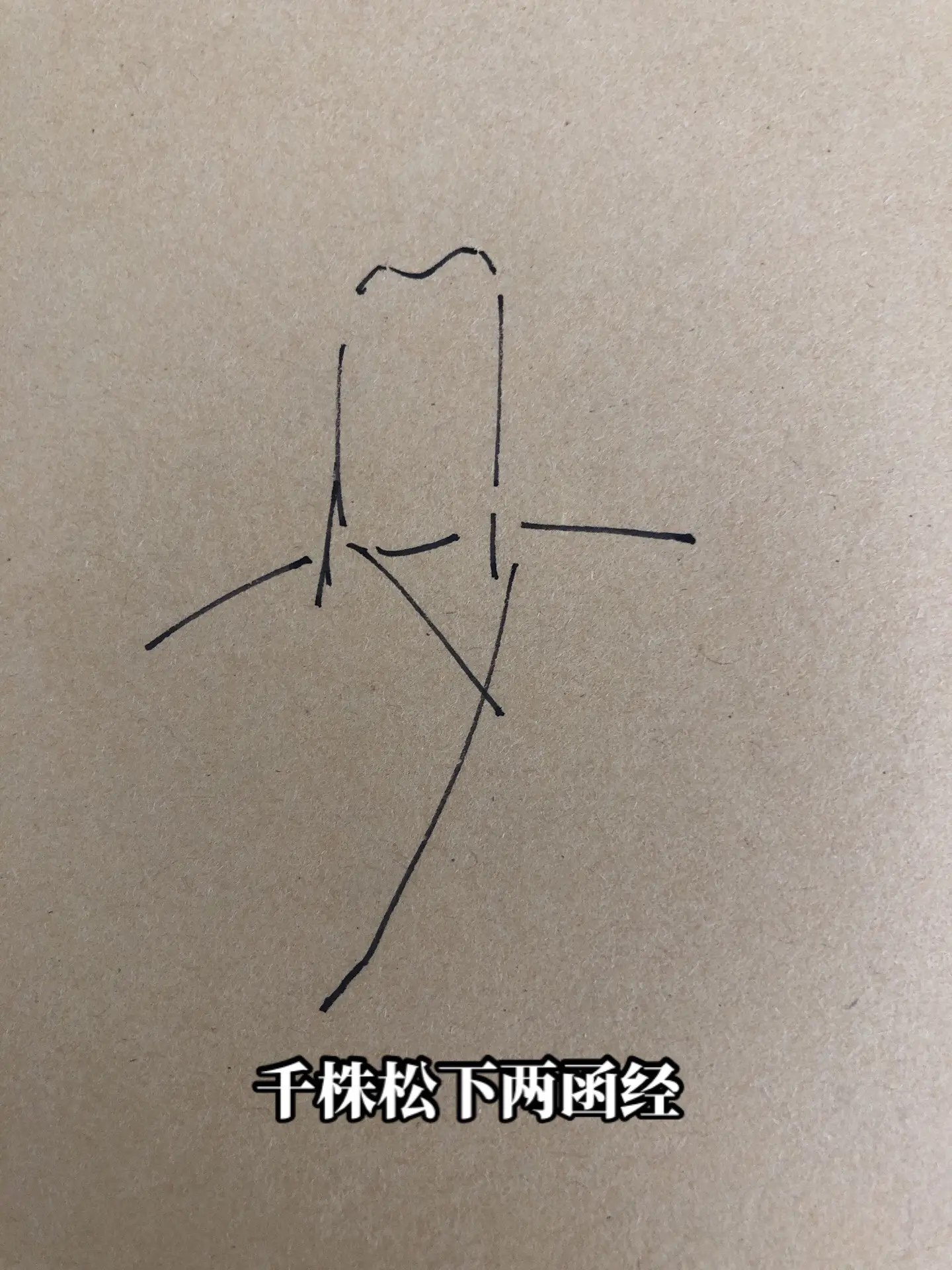 嘉靖。大明画画