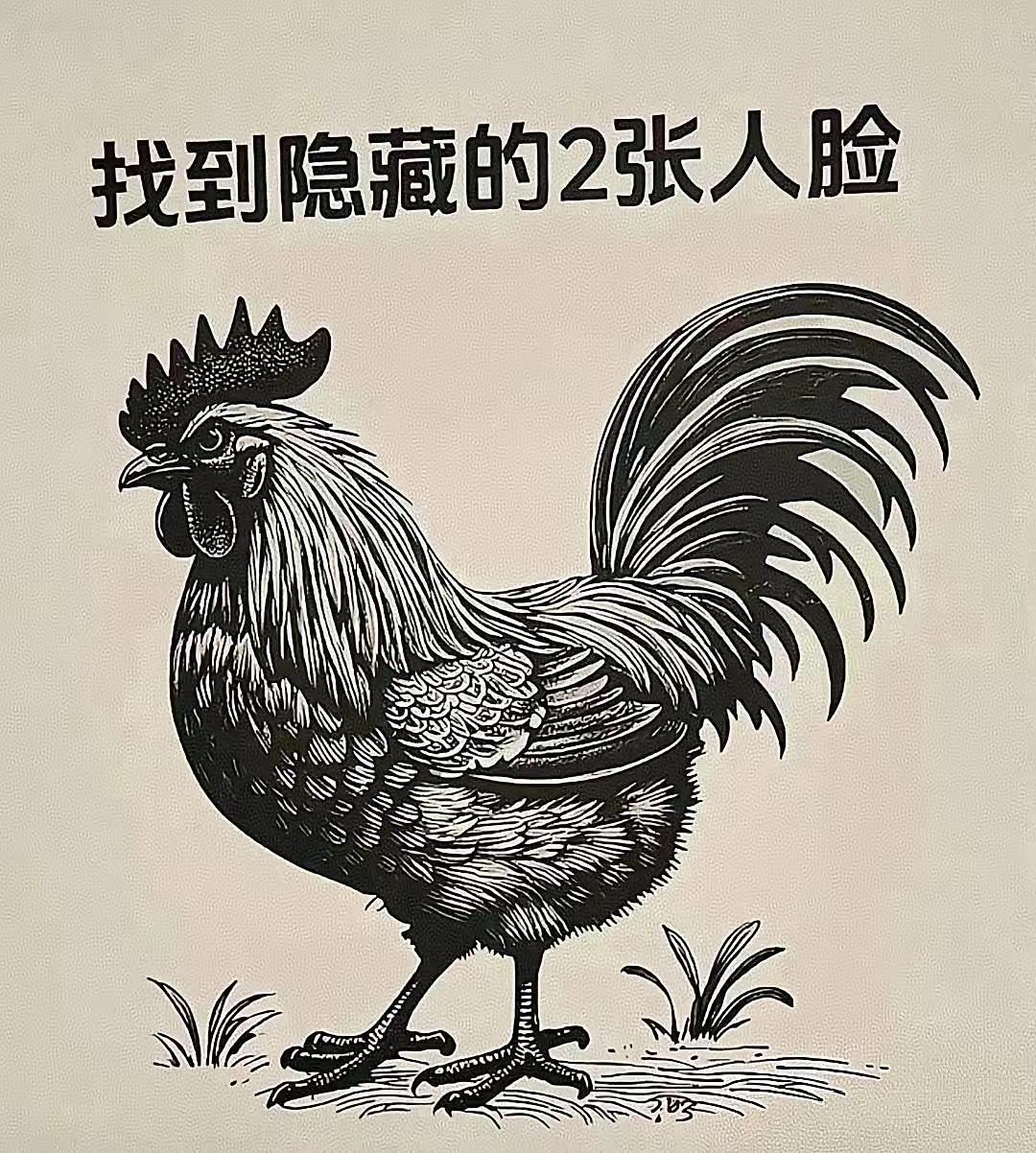 脸型有两张，
就在图中藏。
细辩好半天，
满眼是迷茫。
不解图中意，
惆怅满胸堂
