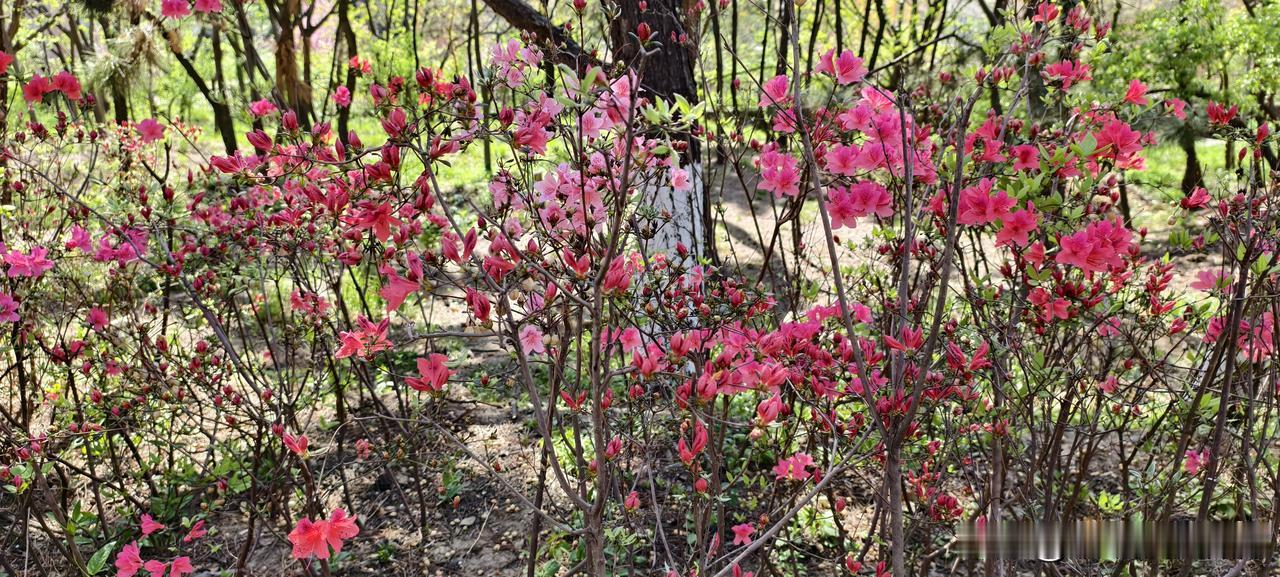 辞职后请同事吃饭，我干了三次，现在想想真是脑子进水


我辞职过三次。每一次，我