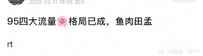 网友评选95四大流量🌸格局 你认可吗 虞书欣 赵露思 田曦薇 孟子义 