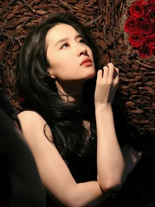 《玫瑰的故事》非常通透的十句话