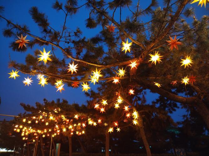 生来就爱亮晶晶，
头戴光环走不停。
三十功名尘与土，
一盏清茶伴月明。
莫道前路