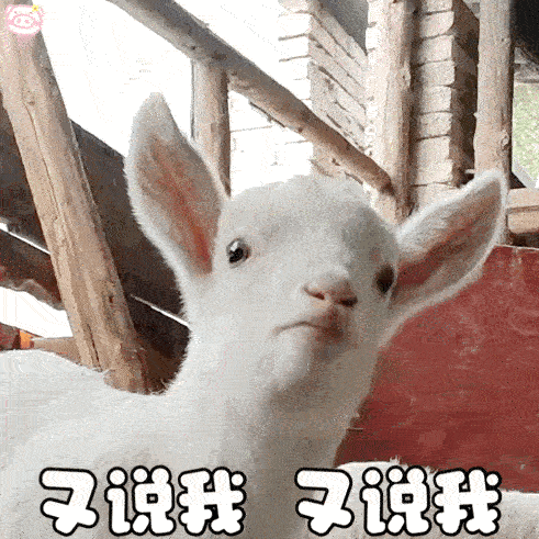 哎，太难了老米粉就这么血淋淋的把c姐称呼拿走了天龙姐我也不敢再说了，把被颜粉认领